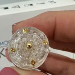 small clear plastic device with 20 mini gold needles - Skin tox